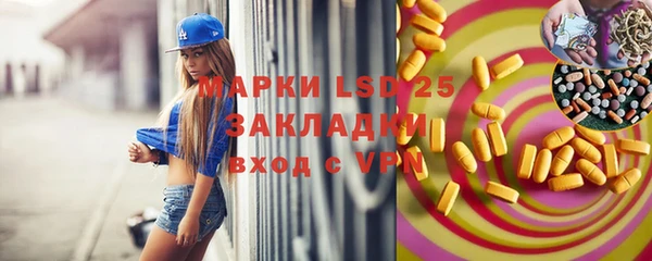 крисы Алзамай