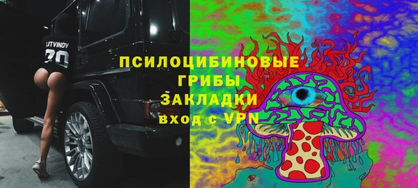 ПСИЛОЦИБИНОВЫЕ ГРИБЫ Алексеевка