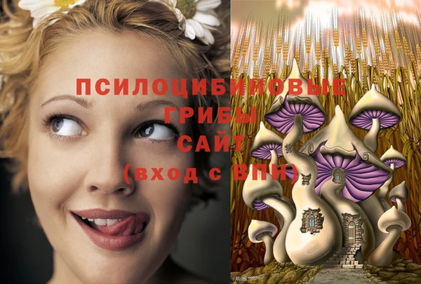 ПСИЛОЦИБИНОВЫЕ ГРИБЫ Алексеевка
